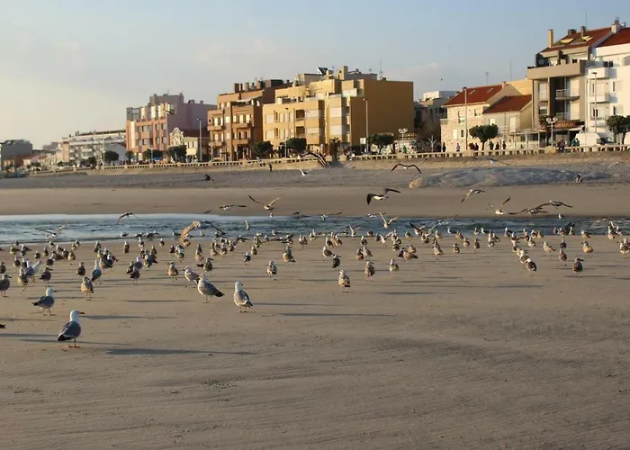 Spellos Διαμέρισμα